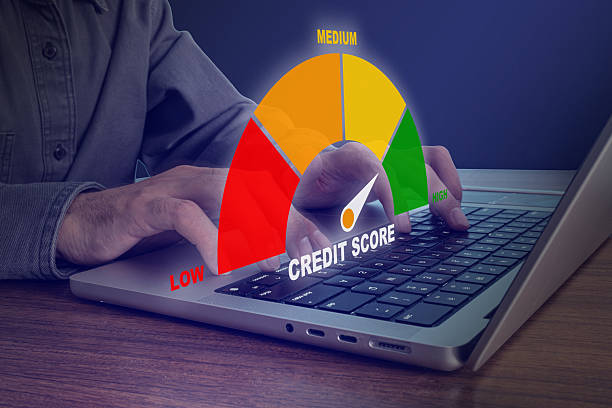 Monitoring client credit score progress